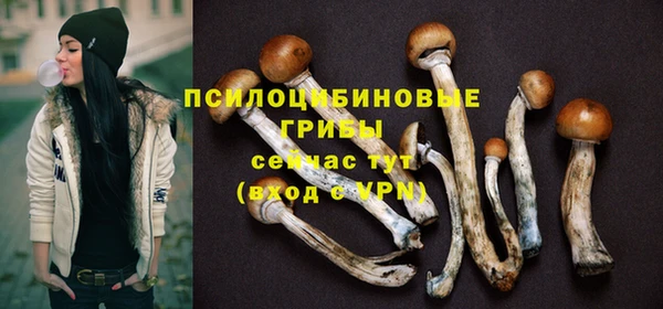 мескалин Ельня