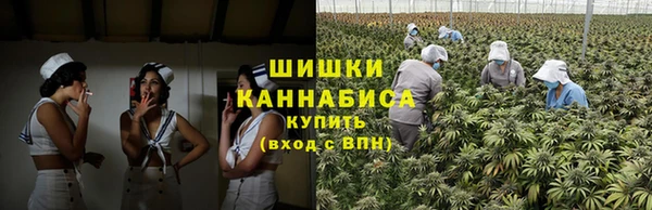 прущая мука Белокуриха