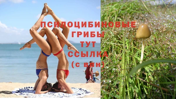 мескалин Белоозёрский