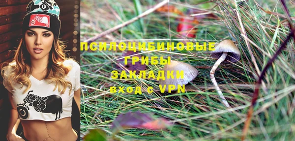 прущая мука Белокуриха