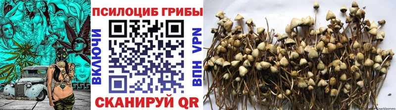 Псилоцибиновые грибы мухоморы  Емва 